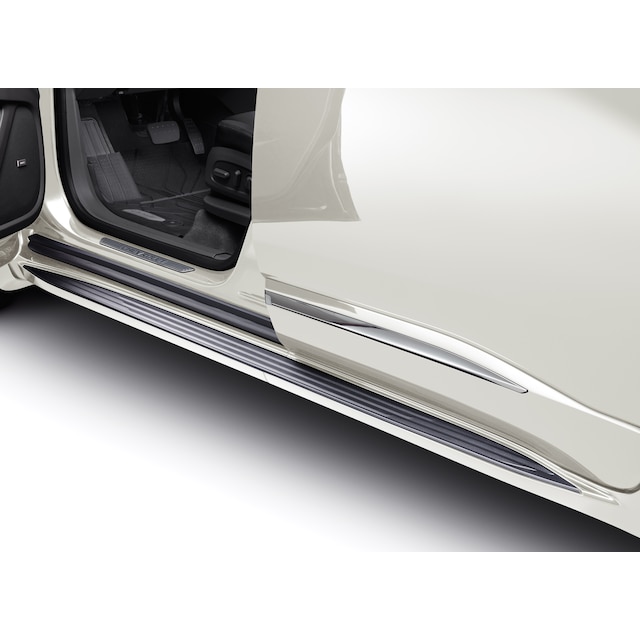 Molded Assist Steps in Iridescent Pearl Tricoat