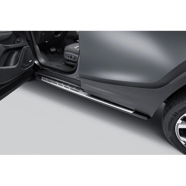Molded Assist Steps in Black