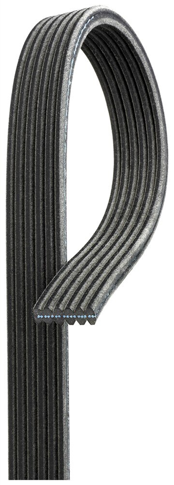 ACDelco Gold Dual Sided V-Ribbed Serpentine Belt
