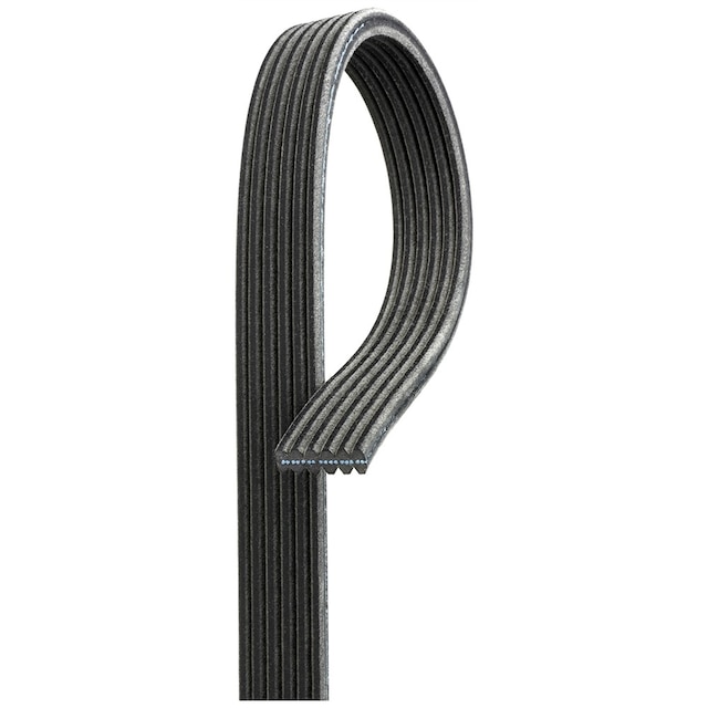 ACDelco Gold Dual Sided V-Ribbed Serpentine Belt
