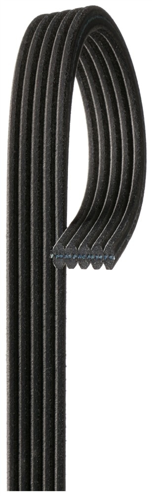 ACDelco Gold Dual Sided V-Ribbed Serpentine Belt
