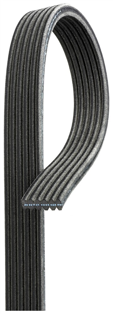 ACDelco Gold Dual Sided V-Ribbed Serpentine Belt