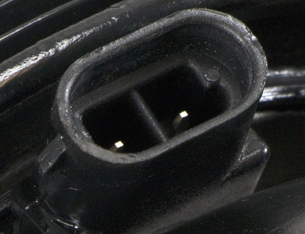 Alternate Image