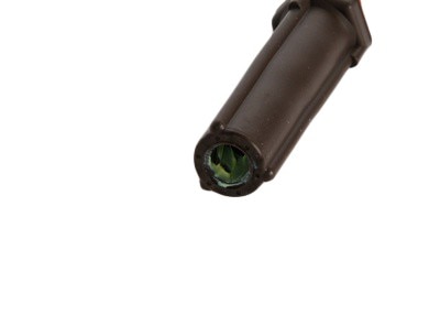 Alternate Image