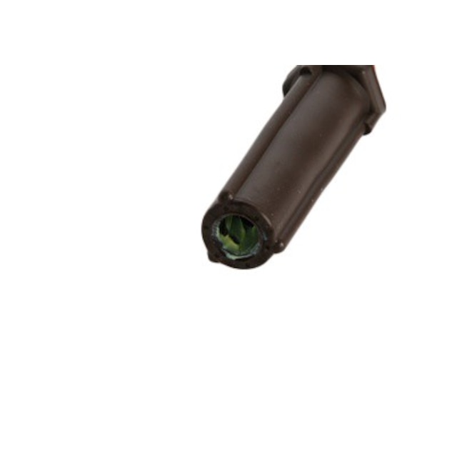 Alternate Image
