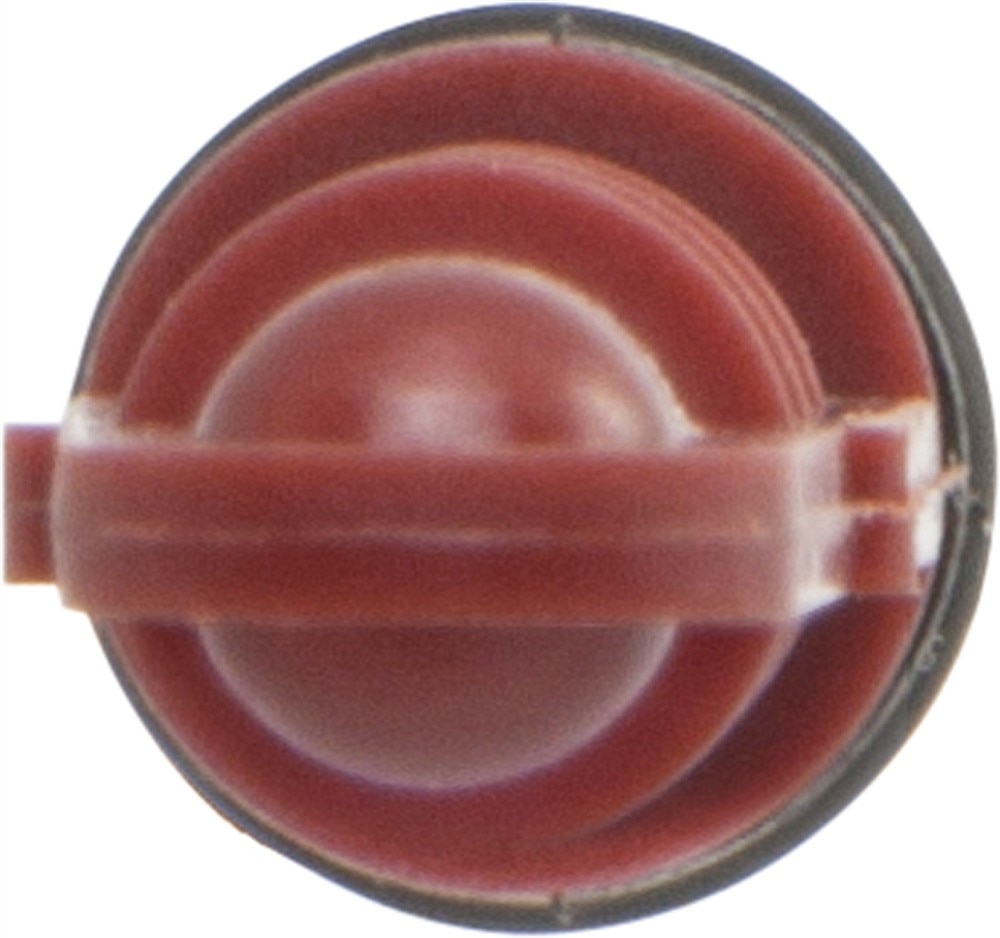 Alternate Image