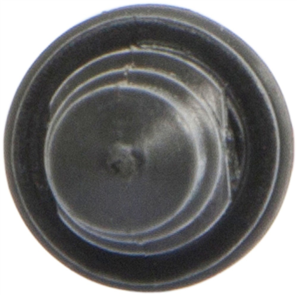 Alternate Image