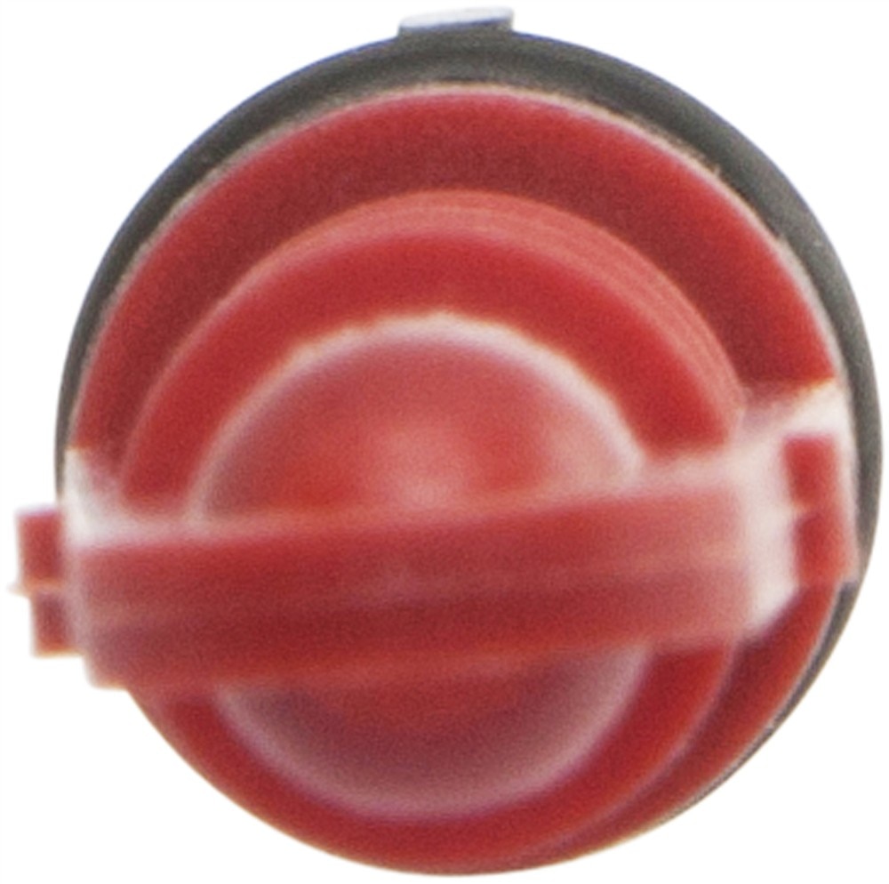 Alternate Image