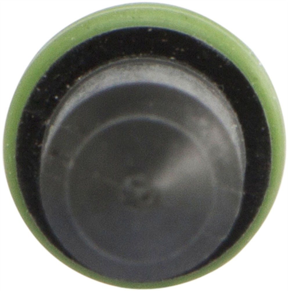 Alternate Image