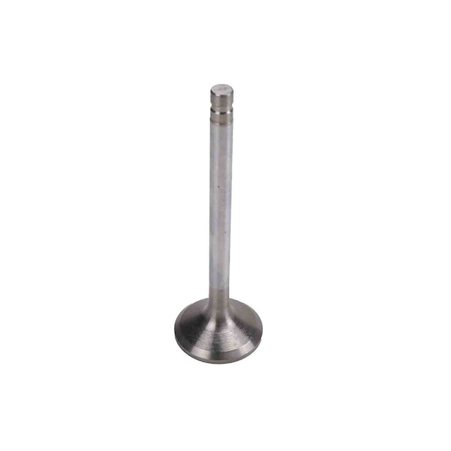 GM Genuine Parts Engine Exhaust Valve
