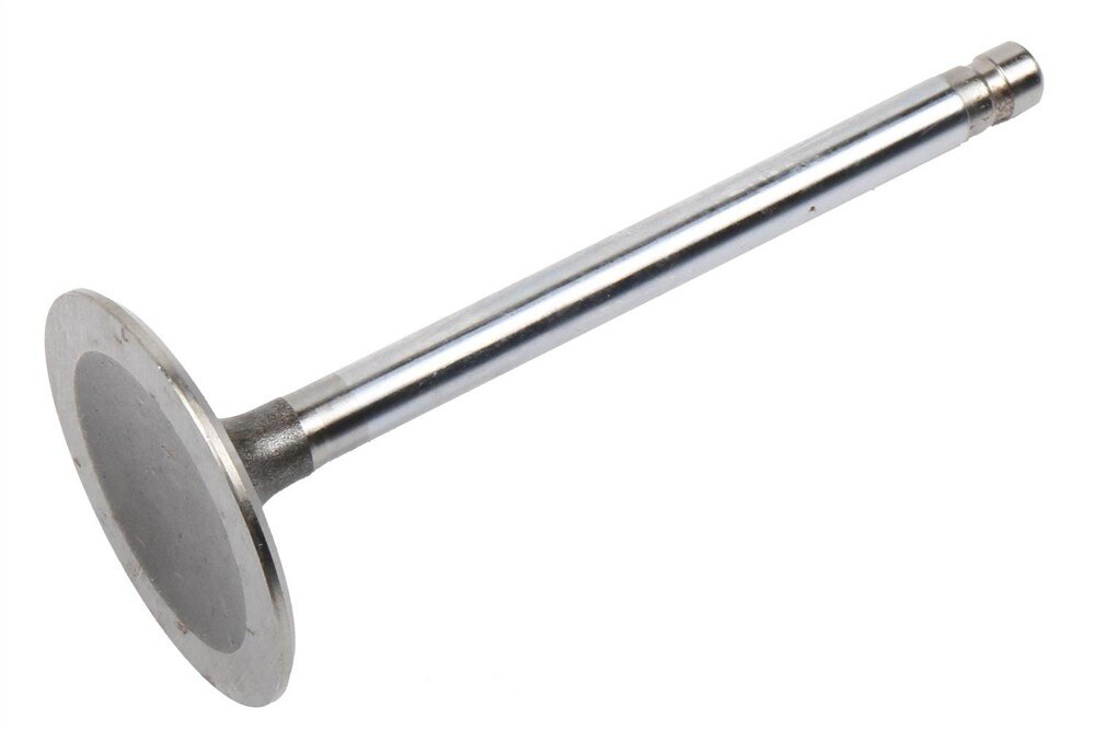 GM Genuine Parts Engine Intake Valve