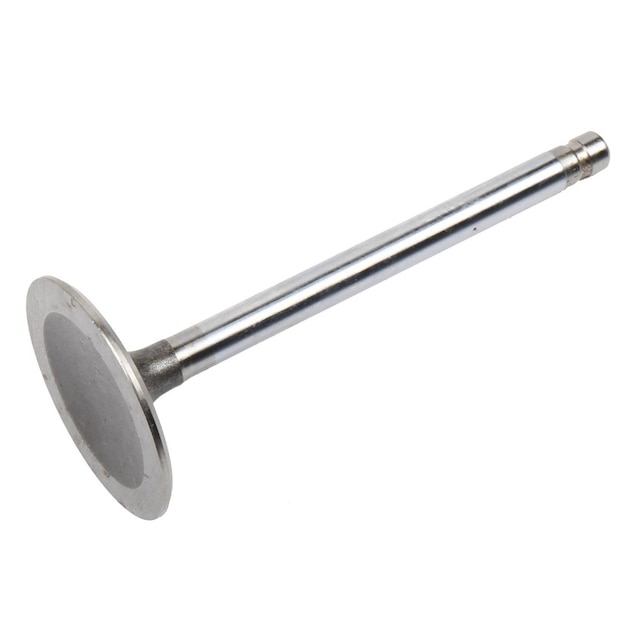 GM Genuine Parts Engine Intake Valve