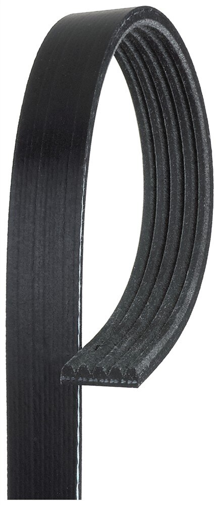 ACDelco Gold Standard V-Ribbed Serpentine Belt