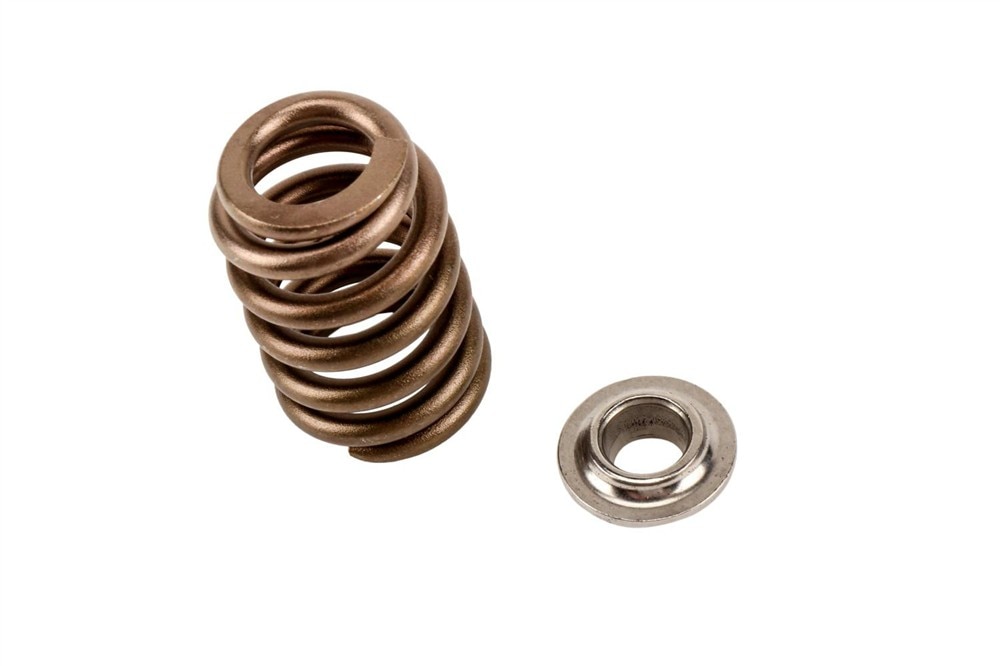 GM Genuine Parts Engine Valve Spring Kit