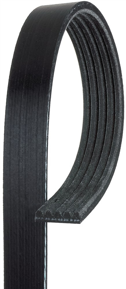ACDelco Gold Stretch Fit V-Ribbed Serpentine Belt