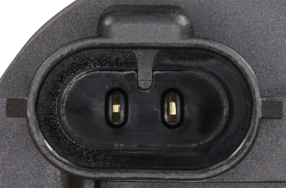 Alternate Image