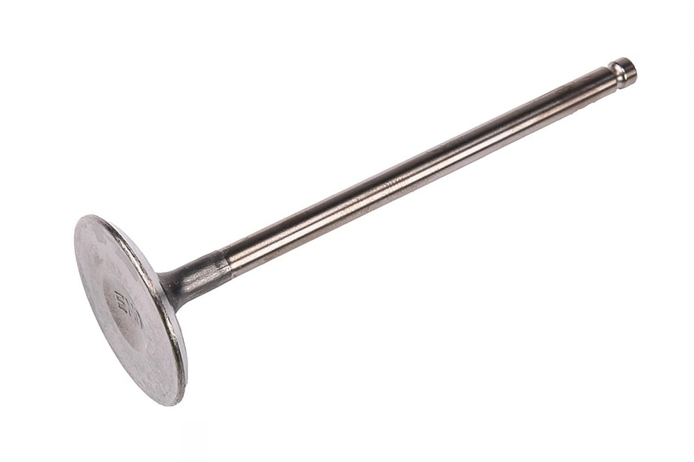 GM Genuine Parts Engine Intake Valve