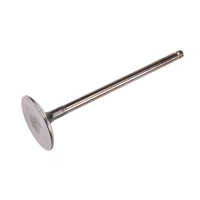 GM Genuine Parts Engine Intake Valve