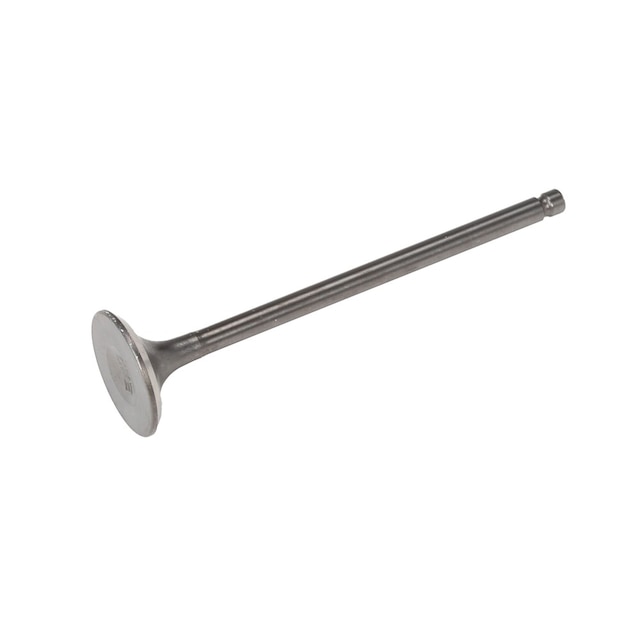GM Genuine Parts Engine Exhaust Valve