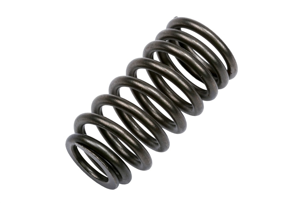 GM Genuine Parts Engine Intake Valve Spring