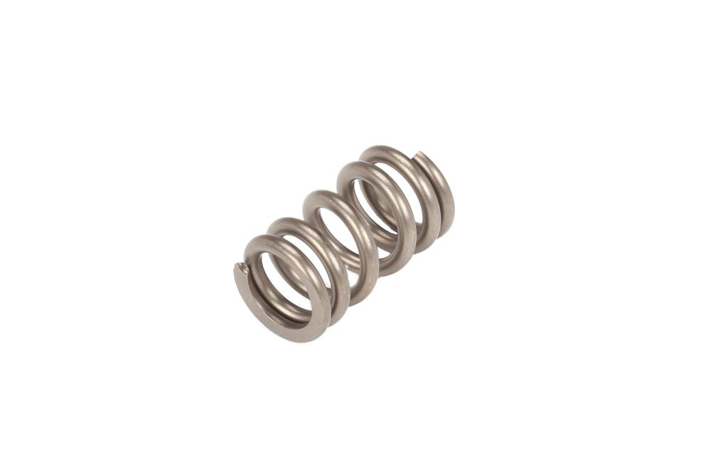GM Genuine Parts Catalytic Converter Spring