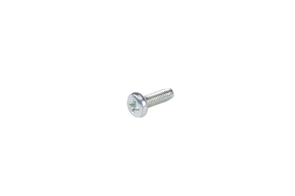 GM Genuine Parts Ignition Switch Bolt