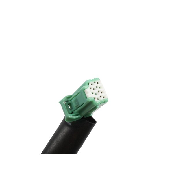 Alternate Image