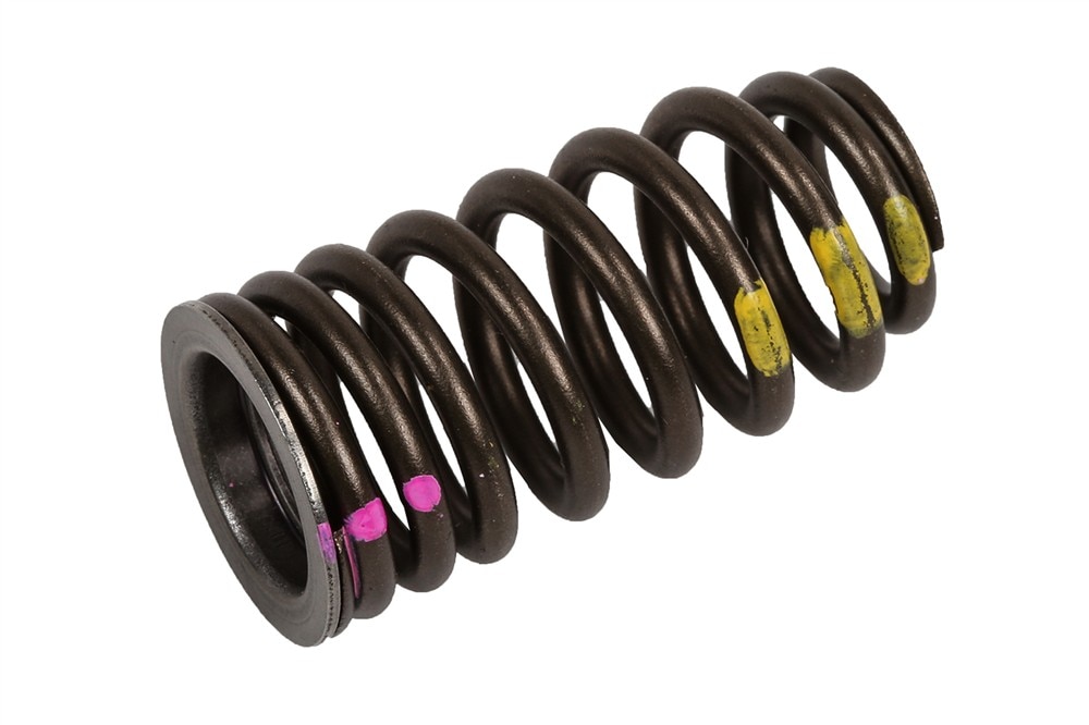 GM Genuine Parts Intake Valve Spring