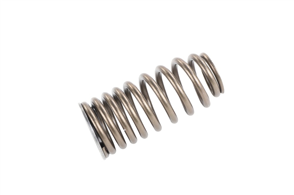 GM Genuine Parts Exhaust Valve Spring