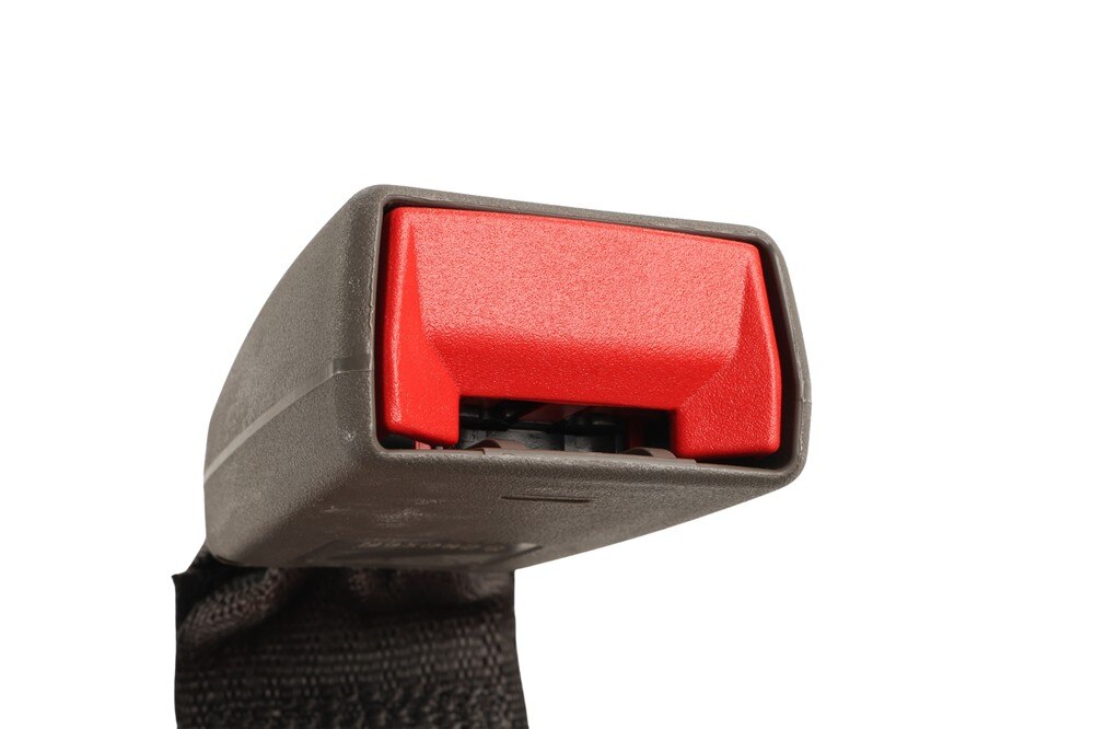 Alternate Image