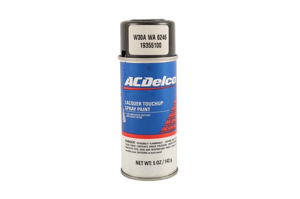 ACDelco GM Original Equipment Dark Argent Lower Body Accent Touch-Up Paint Spray (5 oz)