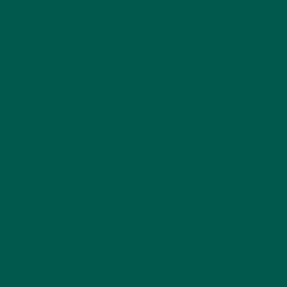 ACDelco GM Original Equipment Emerald Green Metallic Four-In-One Touch-Up Paint Pen (.5 oz)