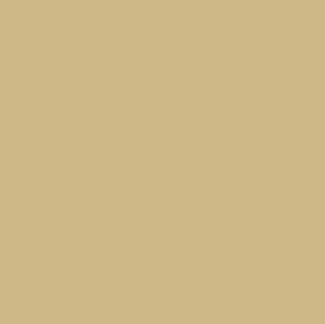 ACDelco GM Original Equipment Cashmere Metallic Four-In-One Touch-Up Paint Pen (.5 oz)