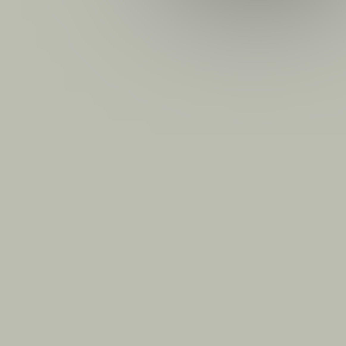 ACDelco GM Original Equipment Moondust Metallic Four-In-One Touch-Up Paint Pen (.5 oz)
