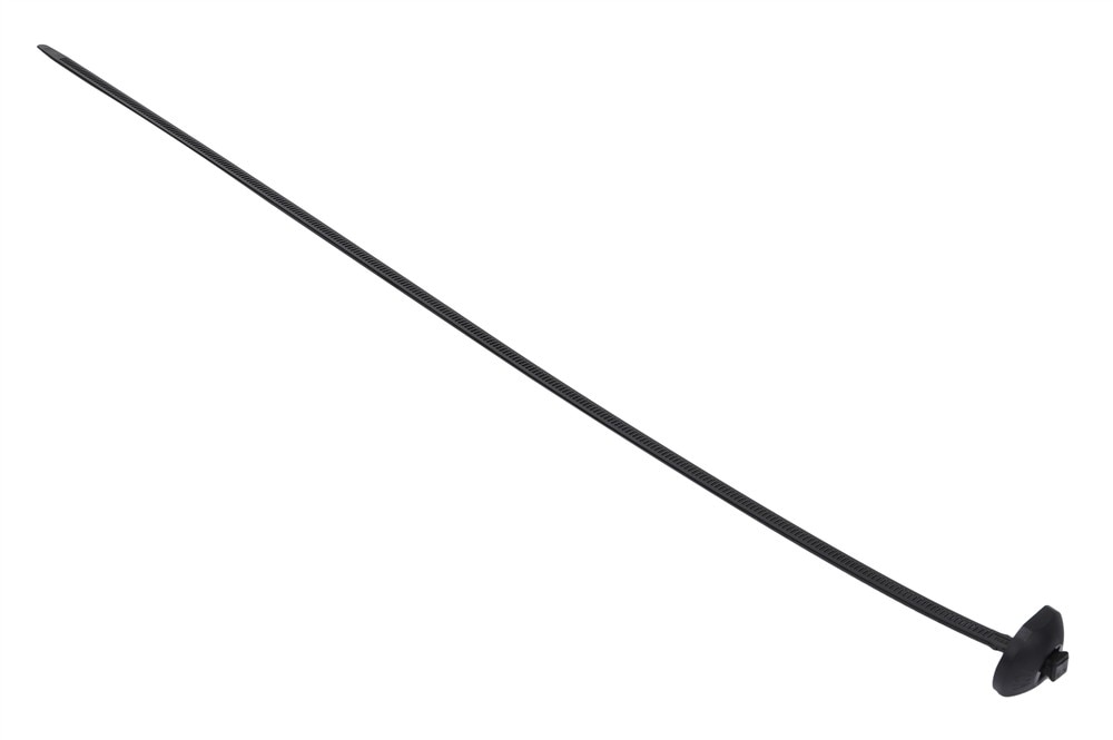 Alternate Image