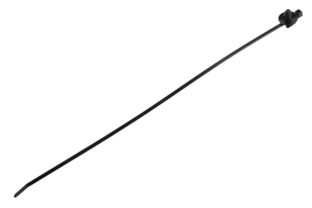 Alternate Image