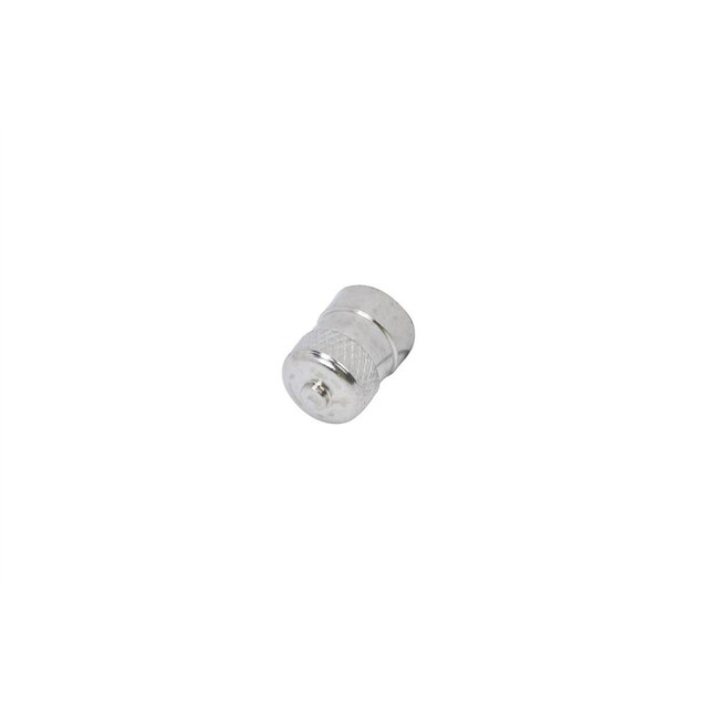 GM Genuine Parts Tire Valve Stem Cap
