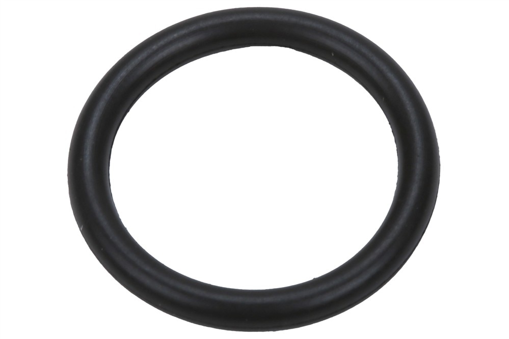 GM Genuine Parts Air Conditioning Compressor Oil Outlet Pipe Seal