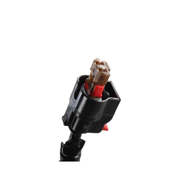 Alternate Image