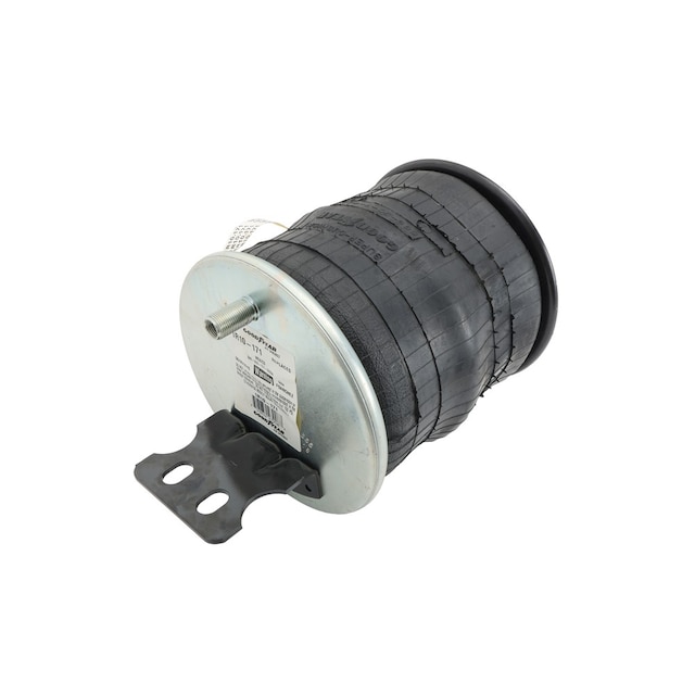 GM Genuine Parts Rear Air Spring
