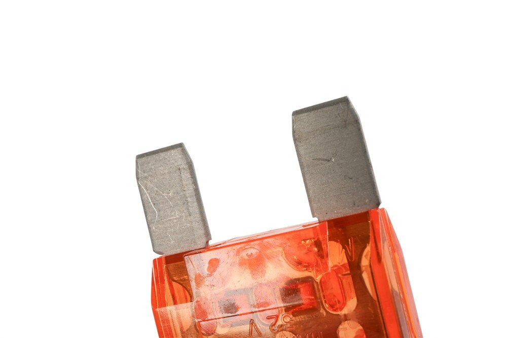 Alternate Image