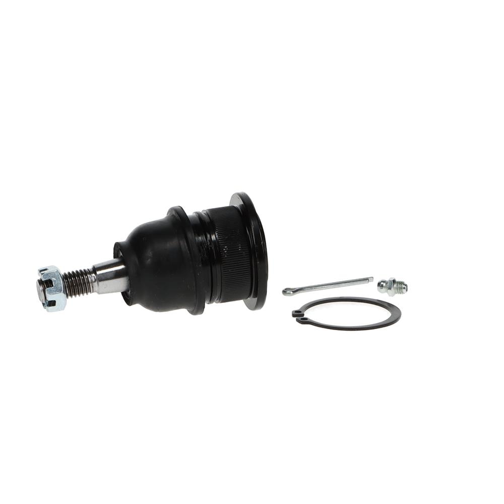 Alternate Image