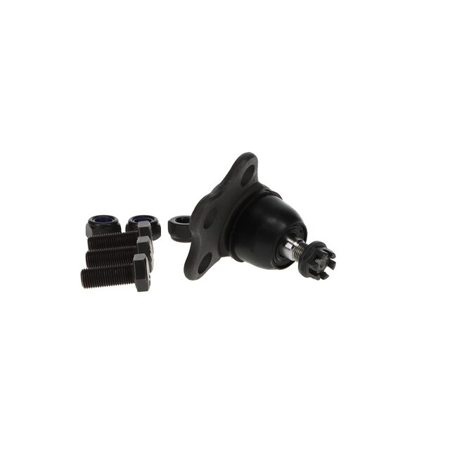 Alternate Image