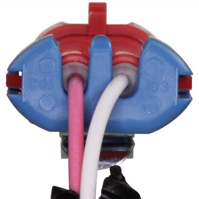 Alternate Image