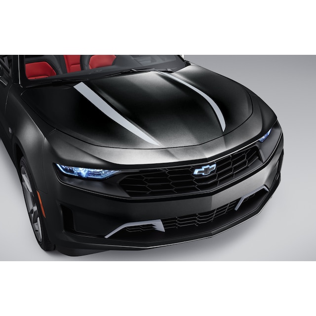Spider Stripe in Silver Ice Metallic for Coupe Models