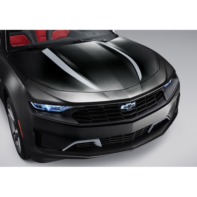 Spider Stripe in Silver Ice Metallic for Convertible Models