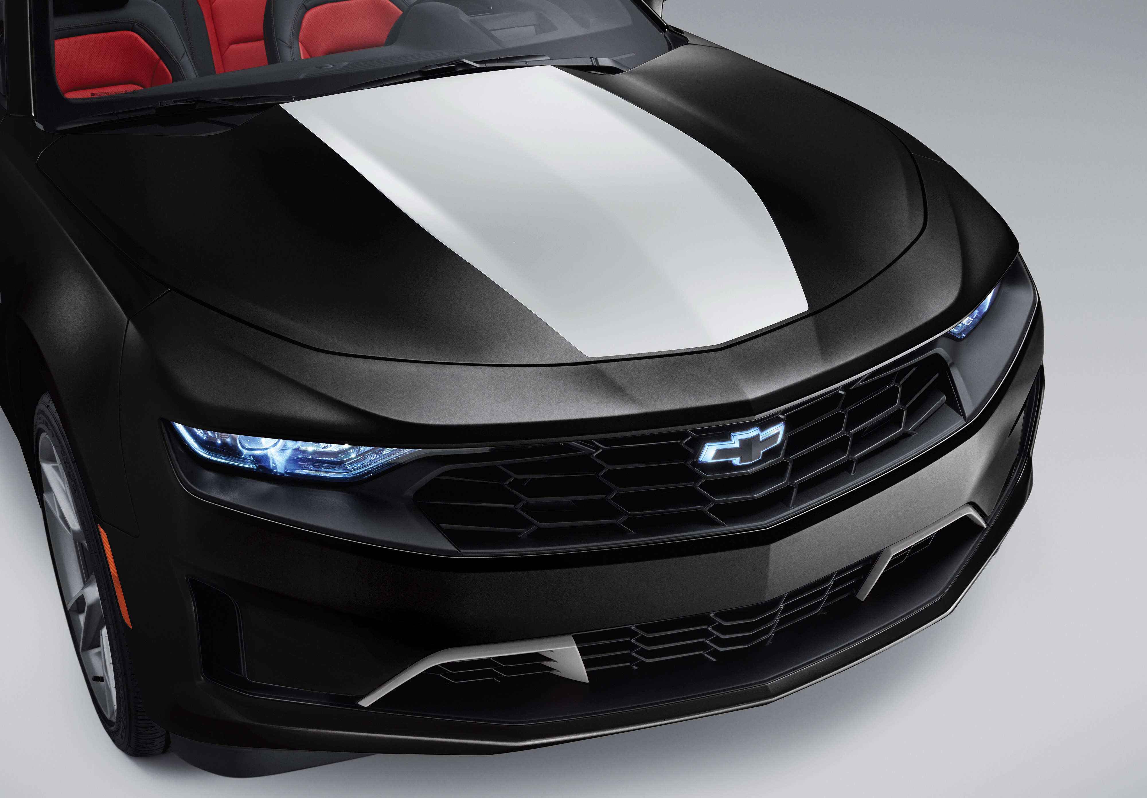 Center Stinger Stripe in Silver Ice Metallic for LS/LT Coupe Models
