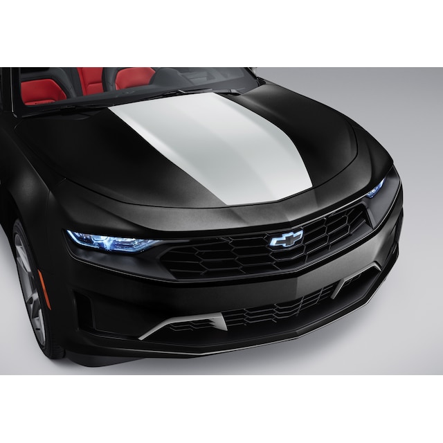 Center Stinger Stripe in Silver Ice Metallic for LS/LT Coupe Models