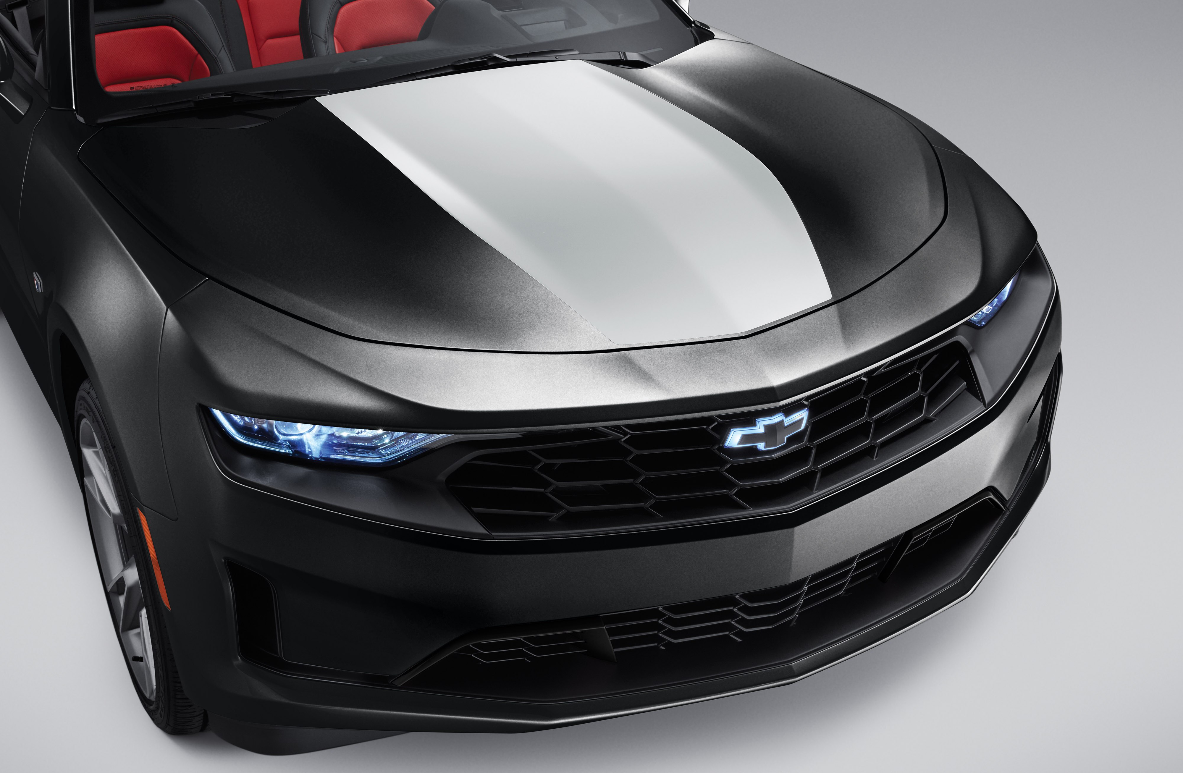 Center Stinger Stripe in White Pearl for LS/LT Coupe Models