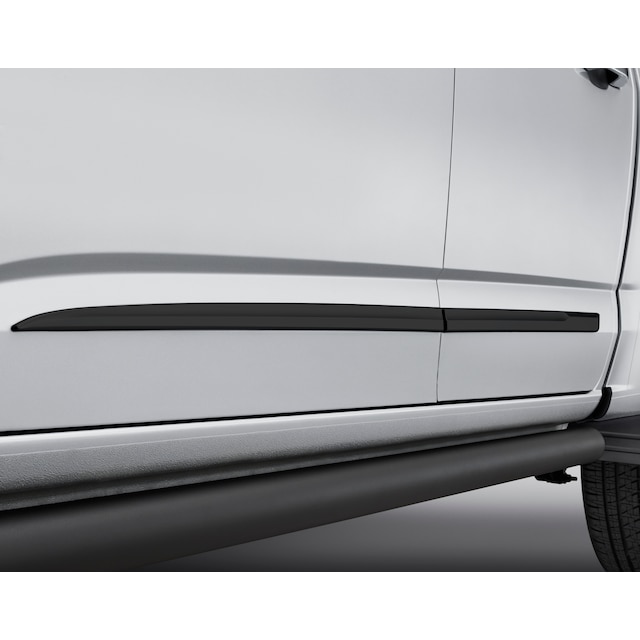 Extended Cab Door Moldings in Black
